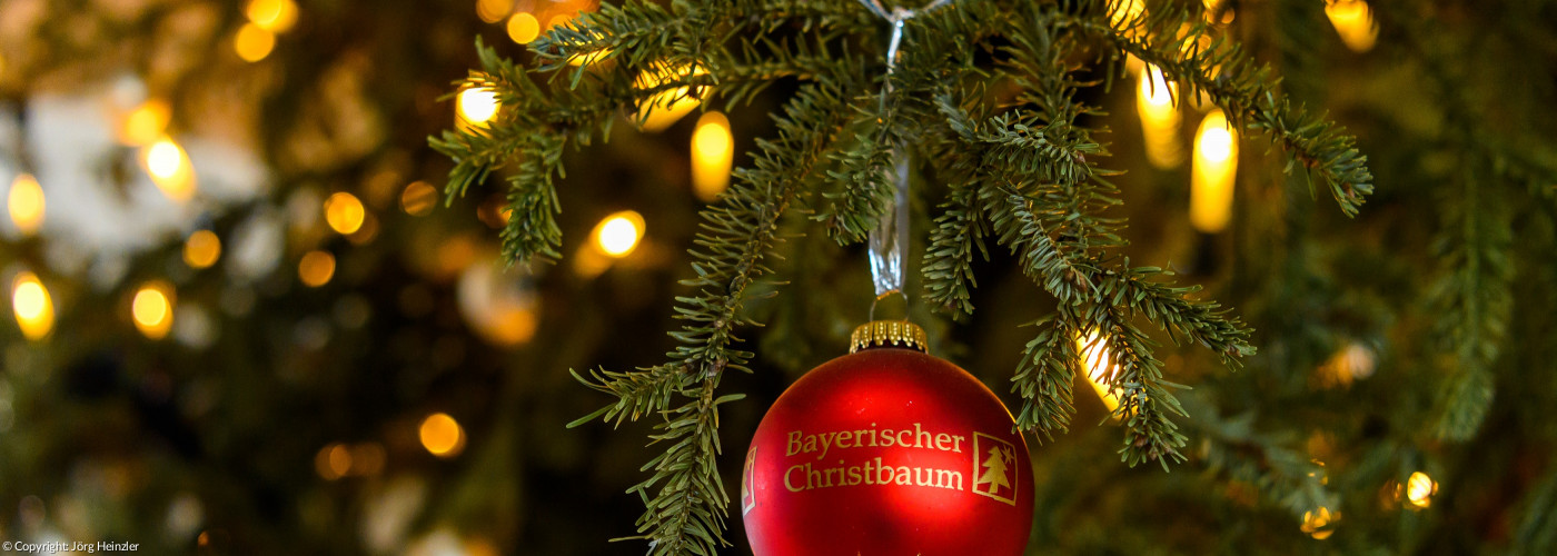 Im Kuppelsaal der Staatskanzlei steht eine über neun Meter hohe Weißtanne aus den Privatwäldern der Evangelisch-Lutherischen Pfründestiftung nahe Aldersbach im niederbayerischen Landkreis Passau. Die rund 3,5 Meter hohen Weißtannen für die Balkone an der Nord-/Südflanke der Staatskanzlei spendet die Waldgenossenschaft Gauting.