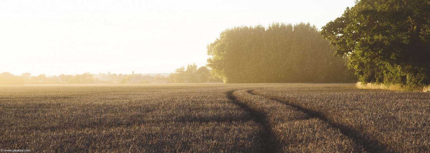 Symbolbild: Pachtverwaltung